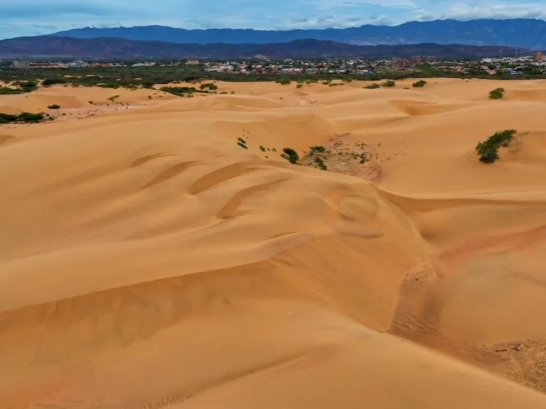 Dunas de arena dorada de los Médanos de Coro con arbustos dispersos y montañas en el horizonte