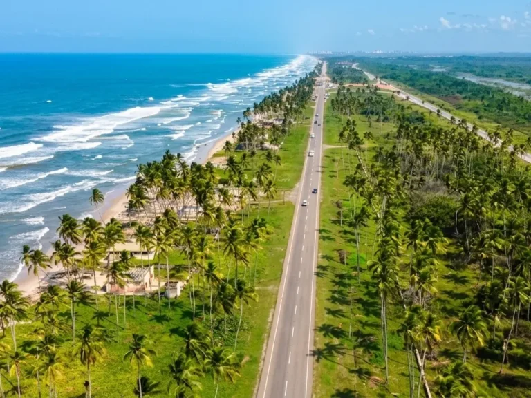 Avenida recta bordeada de palmeras junto a una playa con olas en Tucacas
